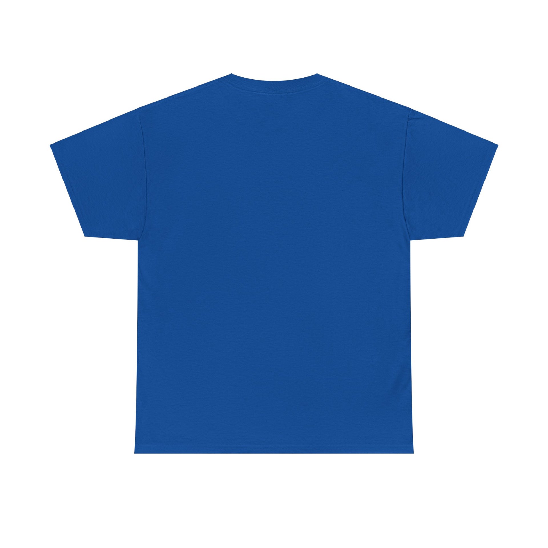 BSOD Unisex Heavy Cotton Tee