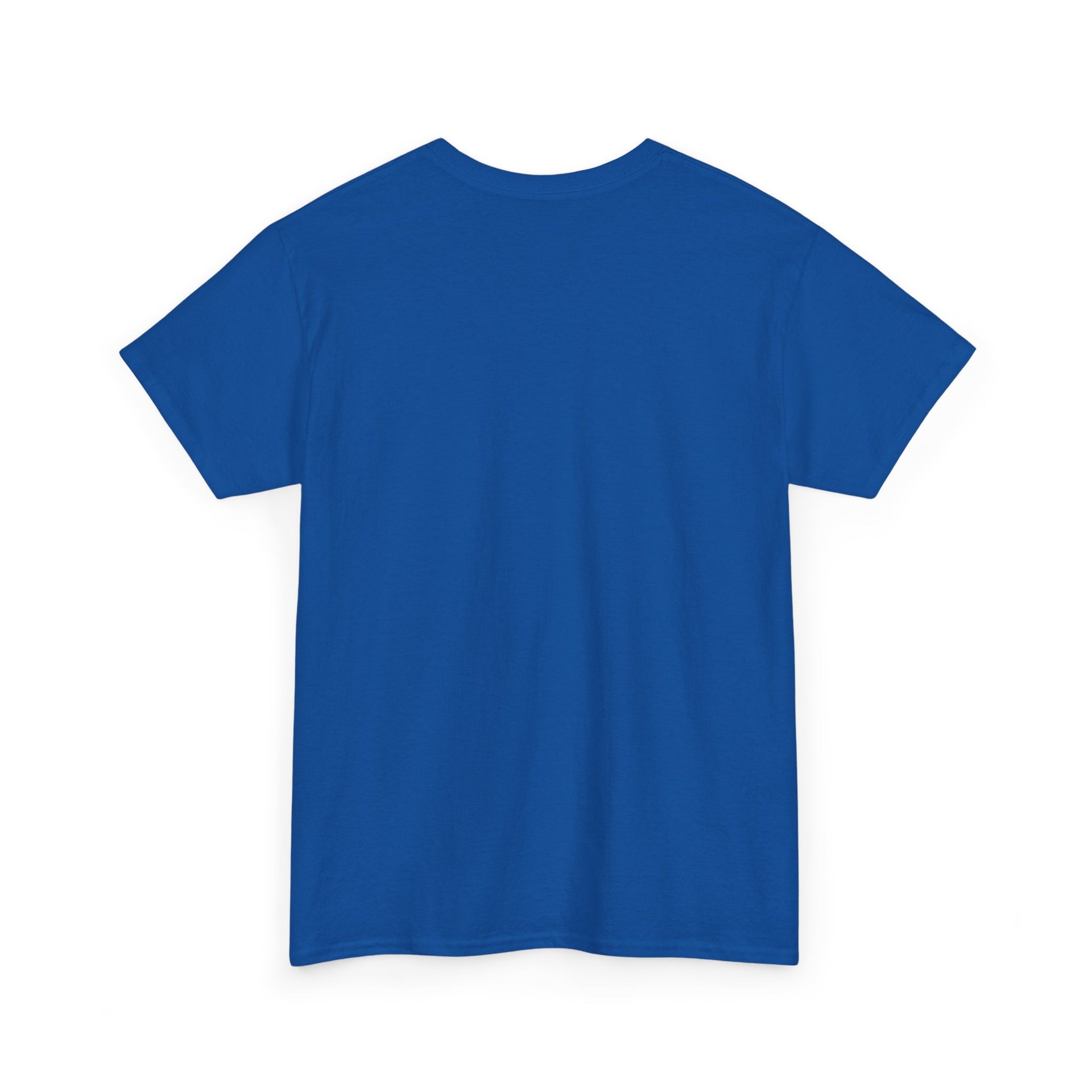 BSOD Unisex Heavy Cotton Tee